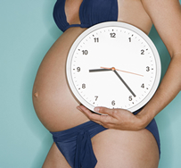 Pregnancy Modeling